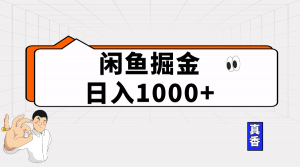 （10227期）闲鱼暴力掘金项目，轻松日入1000+-盛鼎技术