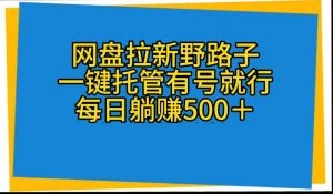 (10468期)网盘拉新野路子,一键托管有号就行,全自动代发视频,每日躺赚500+-盛鼎技术